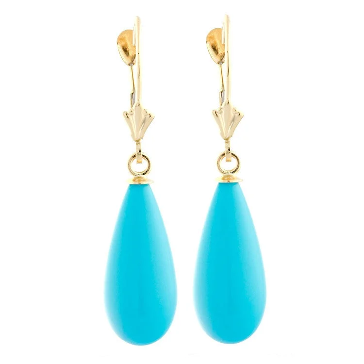 Summit stone earrings-18mm Sleeping Beauty Turquoise Lever Back Earrings 14K Yellow Gold